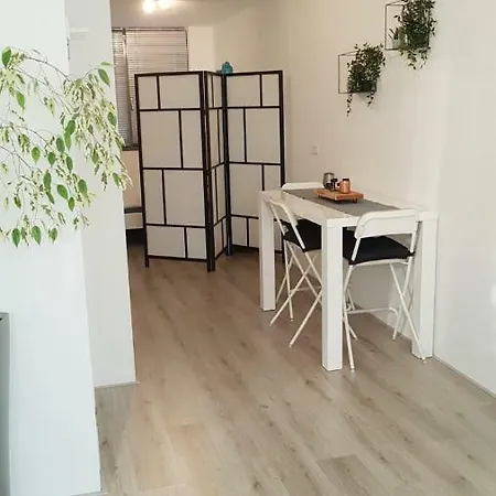 Studio Around Schiphol And Amsterdam